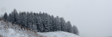 20150409-IMG_3611
