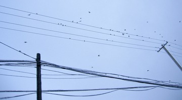 19800101-IMG_3813