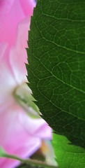 19800101-IMG_3754