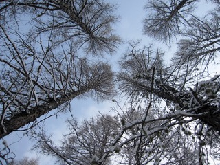 20150409-IMG_3580