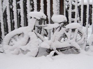 19800101-IMG_3819