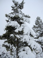 19800101-IMG_3832
