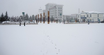 20150409-IMG_3544