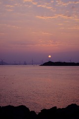 470B6119-1C38-49C0-A420-98FF9AC2F6D2/L0/001