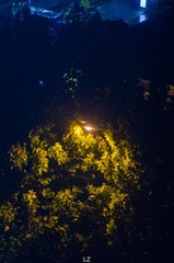 150687