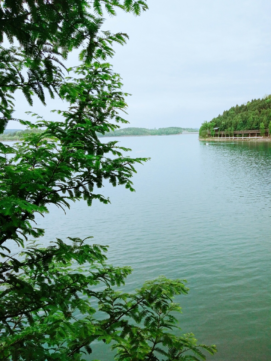 仙海湖 - 小杨老师和小胡同学 - 图虫