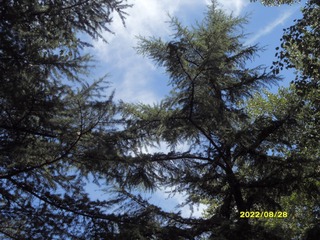 E92F7F66-AD42-475F-BA59-BAD67050E2D6/L0/001