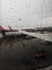 窗前雨中