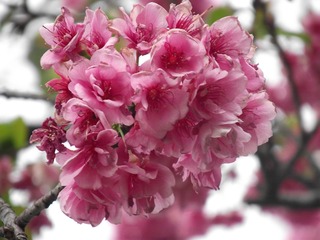 A0580E95-02EE-4626-8FC8-81E4F3D6CD5F/L0/001