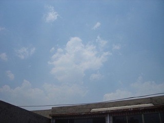 DSC01332.JPG