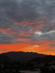 D50CA035-AB0E-4290-93B9-318B60E2721C/L0/001