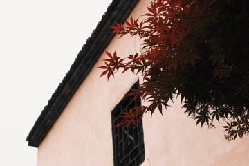97E989DA-FA79-4CED-A941-C14E5BF762CC/L0/001