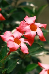 4F8A9168-0F74-4A95-97B1-7E8A0F04A80A/L0/001