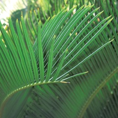 F5A13588-8D34-4554-AB93-CD3B4BBBD188/L0/001