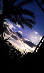 IMAG0428.jpg