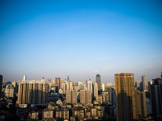 P1000243.jpg