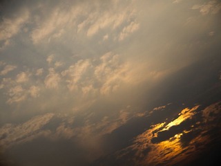 P1000393.jpg