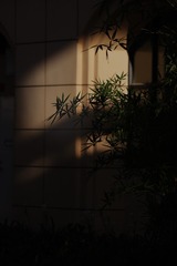 9C695A65-1234-43F8-AC63-B91D704A6D33/L0/001