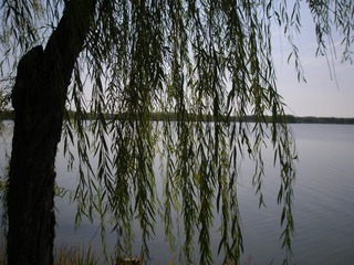 120051