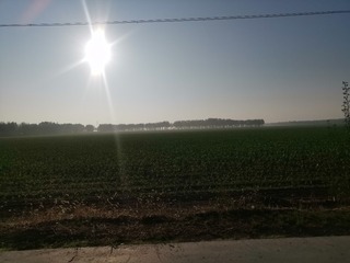 121529