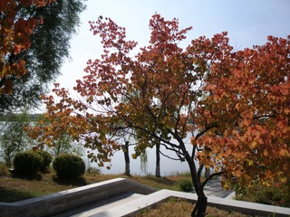 120048