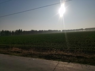 121530