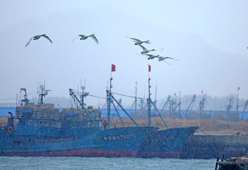 8E7A7492