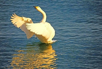 8E7A6692A