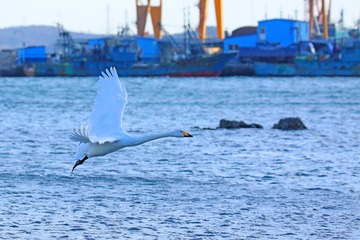 8E7A6478A