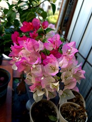 20120