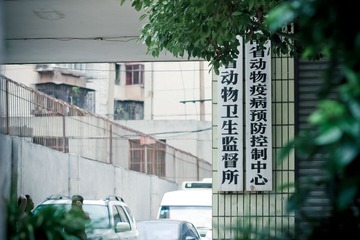 _MG_1799-2.jpg