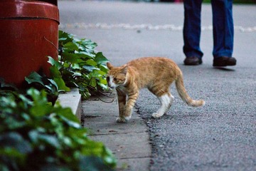 _MG_1991-2.jpg