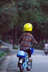 _MG_2003-2.jpg