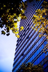 DSCF2108-1.jpg