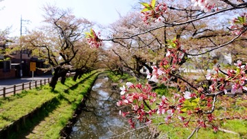 592A6476-A36B-4574-964F-8D7E2A3888FD/L0/001