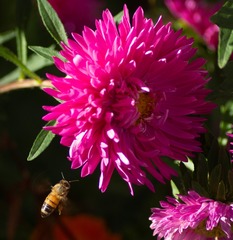 3CD0961A-5F98-458F-B306-5AE1A0360B90/L0/001