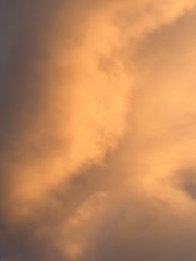 497B6DFD-99A6-4E20-87ED-3C196C2D727C/L0/001