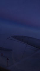 1000034116