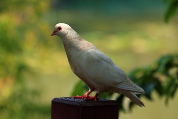 725160