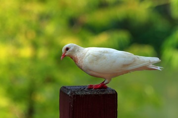 725165