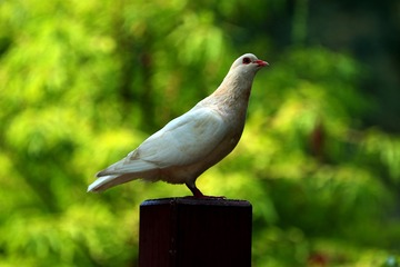 725171