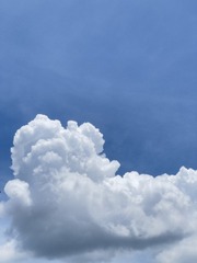 B9D55E6A-15B1-4100-A5A2-B9328088172B/L0/001