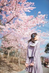 2177F57B-190E-42B2-80DA-3D772ED0B433/L0/001