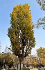 0579FA11-21BF-4E07-882E-B38D82DABC51/L0/001