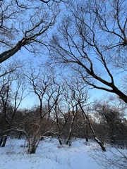 8667D5C4-E2C2-4E1C-A510-91C8E62653F1/L0/001