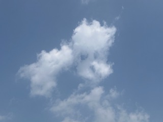 9756C99A-73AF-4F27-ABF0-438D3352F2C8/L0/001
