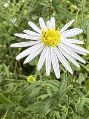 C9384722-C1C7-45A3-AC5D-2CB149F5FD3C/L0/001