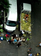 1.脚踏玉米.JPG