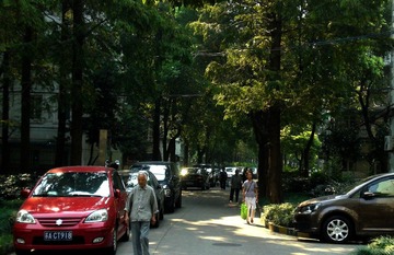 杨浦区延吉三村小区 (2).JPG