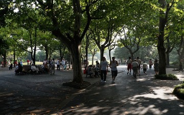 绿荫清凉